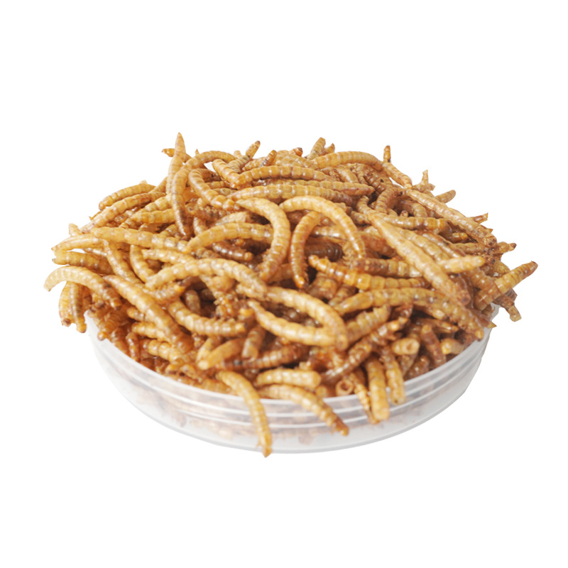 Food Protein Snacks - 고단백 간식 햄스터 사료 새 고슴도치