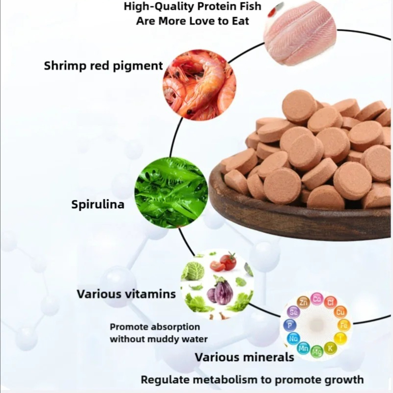 펜이슨 소형어류 사료 패치, 소형어류가 좋아하는 간식, - Food Protein Snacks 리뷰 및 가격