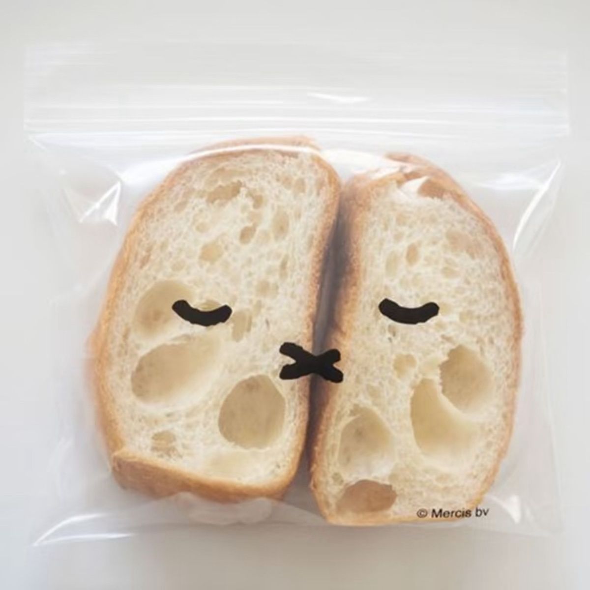 신선도 유지 보관백 식품 밀봉 파우치 냉장고 정리용 칸 - Food Good Snacks 리뷰 및 가격
