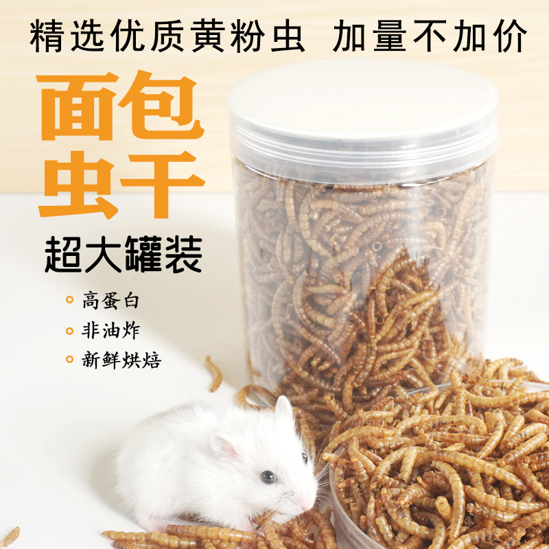 고단백 간식 햄스터 사료 새 고슴도치 기니피그 아로와나 - Food Protein Snacks 리뷰 및 가격