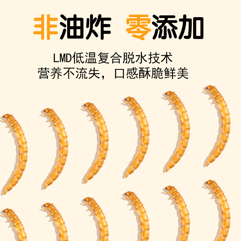 고단백 간식 햄스터 사료 새 고슴도치 기니피그 아로와나 - Food Protein Snacks 리뷰 및 가격